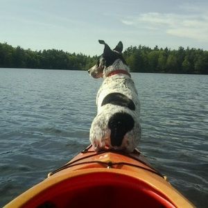 Meet your Posher, Anne